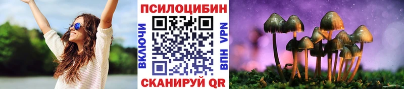 купить наркоту  omg зеркало  Галлюциногенные грибы мухоморы  Яхрома 