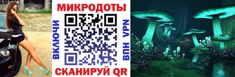 Псилоцибиновые грибы прущие грибы Яхрома